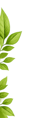 Organic Leaves