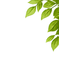 Organic Leaves